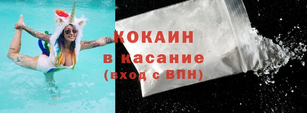 прущие грибы Новозыбков