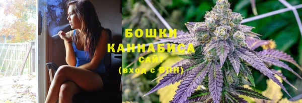 сатива Баксан