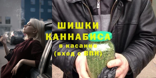 сатива Баксан