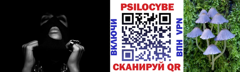 Псилоцибиновые грибы Psilocybe  как найти   Ликино-Дулёво 